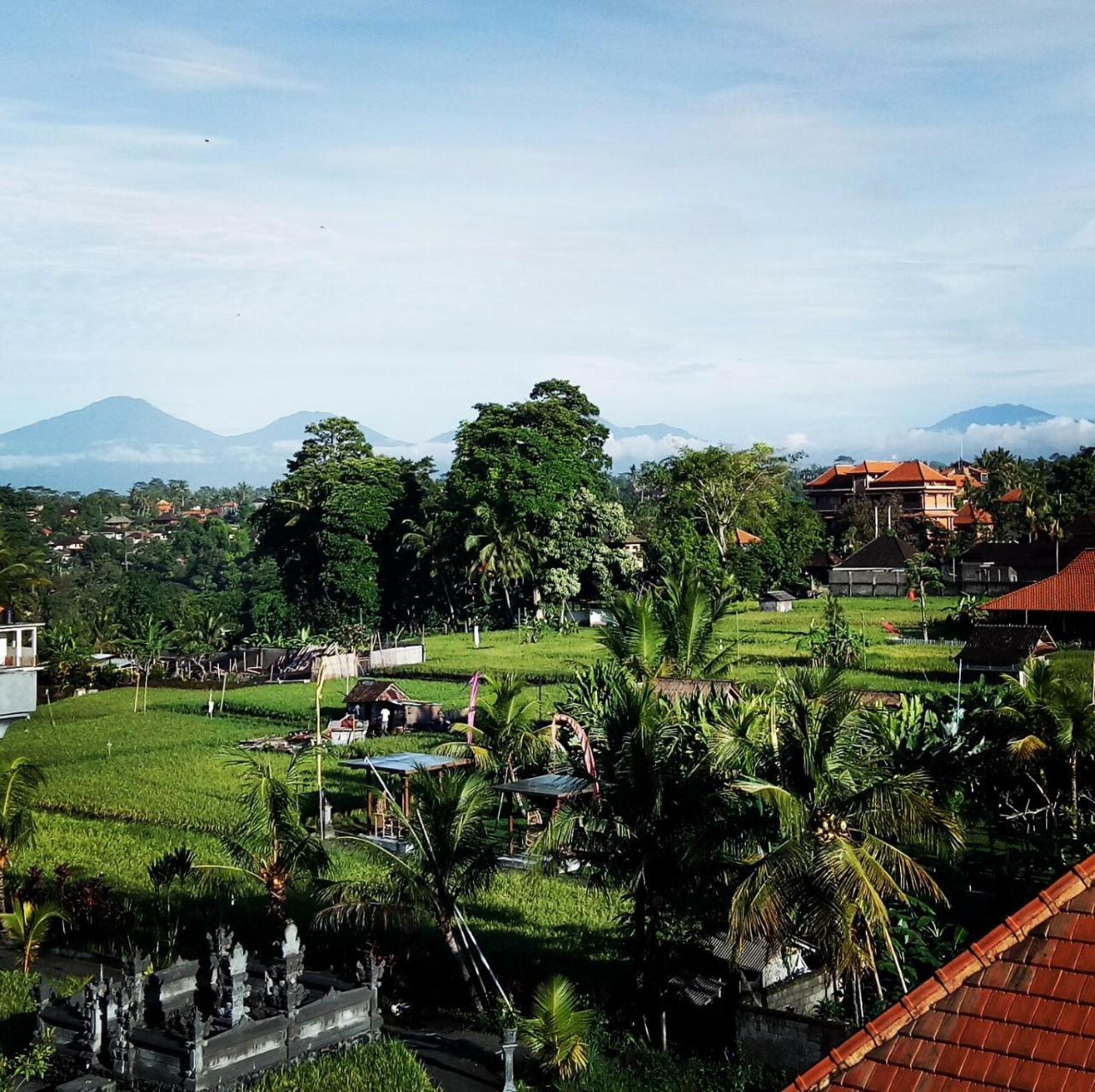 Hibiscus Cottages Ubud Extérieur photo