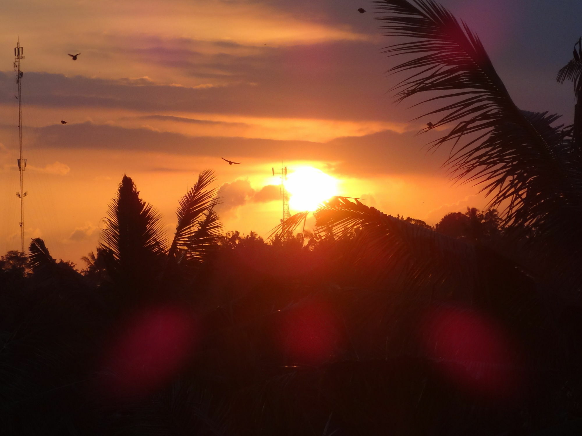 Hibiscus Cottages Ubud Extérieur photo