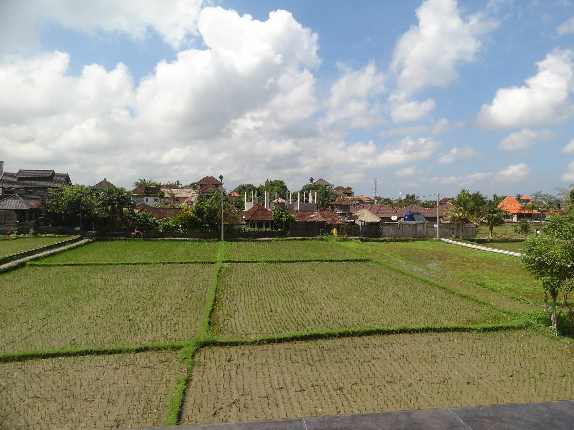 Hibiscus Cottages Ubud Extérieur photo