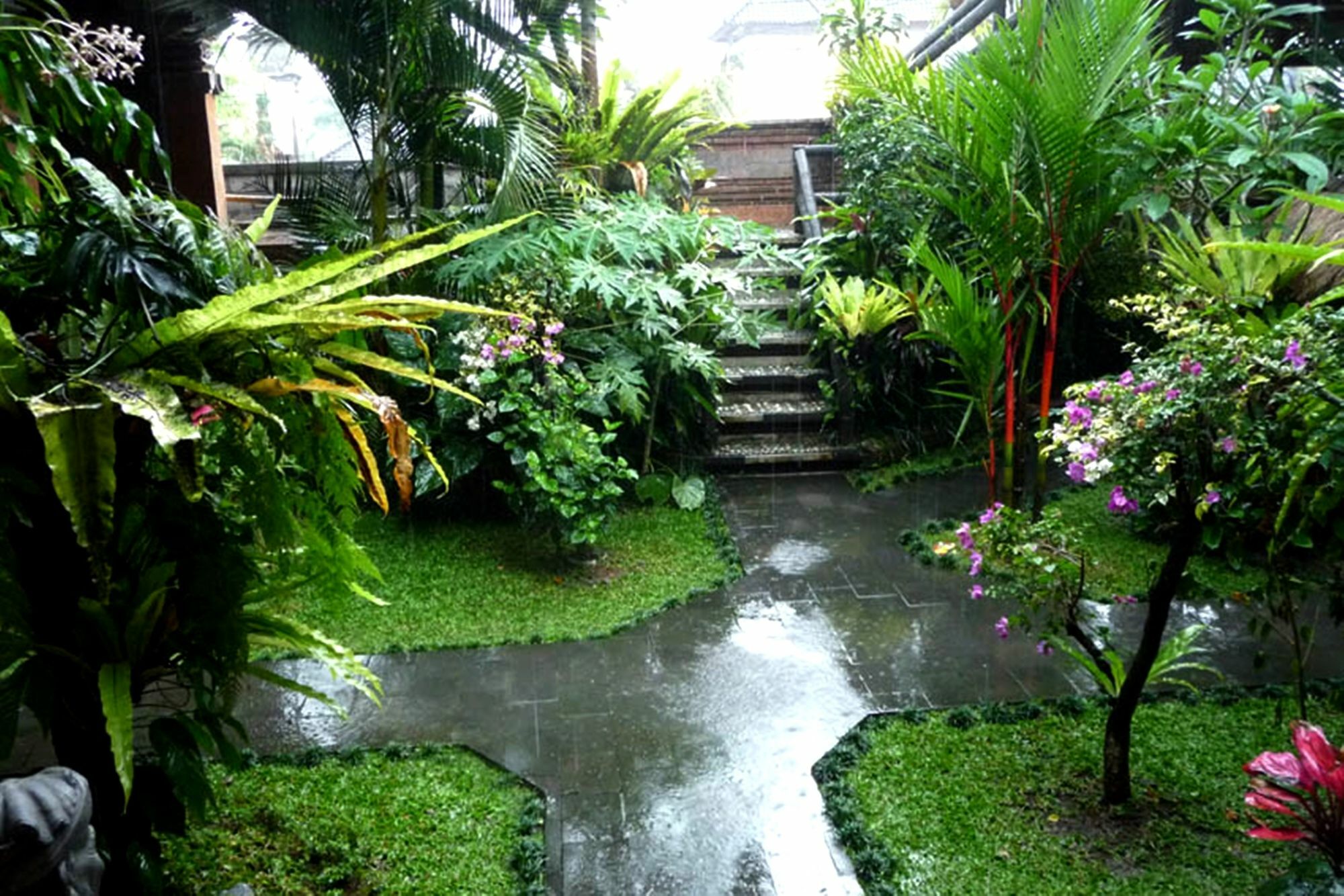 Hibiscus Cottages Ubud Extérieur photo